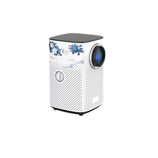 Projector H2